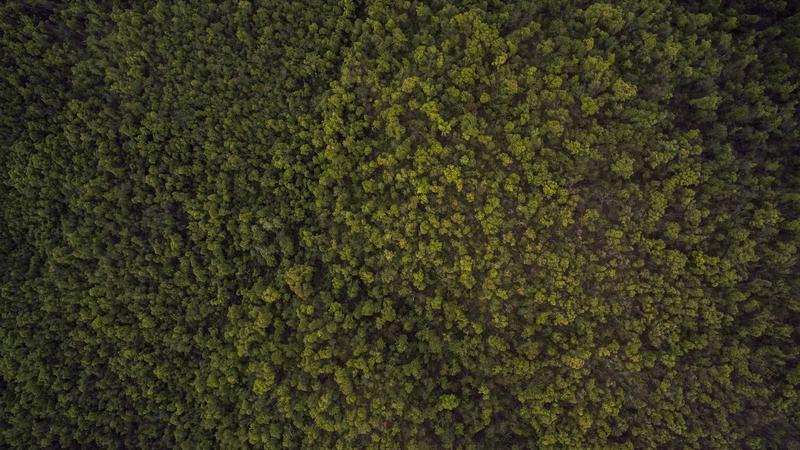 Logo Packaging Comparison: Materials, Costs & Tips for Brands